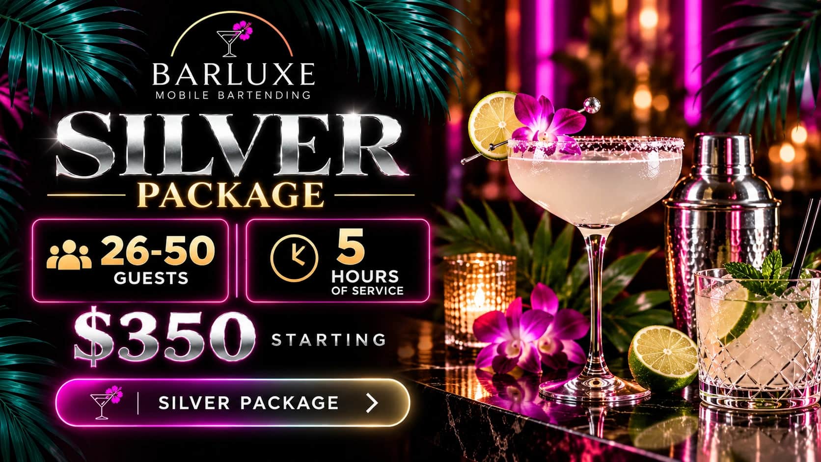 Silver package: 26–50 guests, 5 hours, $350 starting